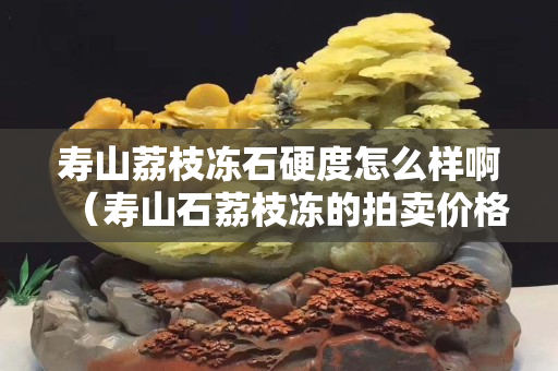 寿山荔枝冻石硬度怎么样啊（寿山石荔枝冻的拍卖价格）