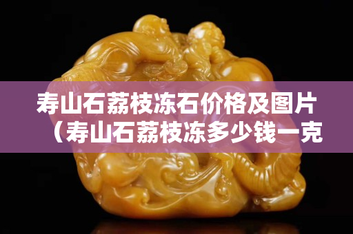 寿山石荔枝冻石价格及图片（寿山石荔枝冻多少钱一克）