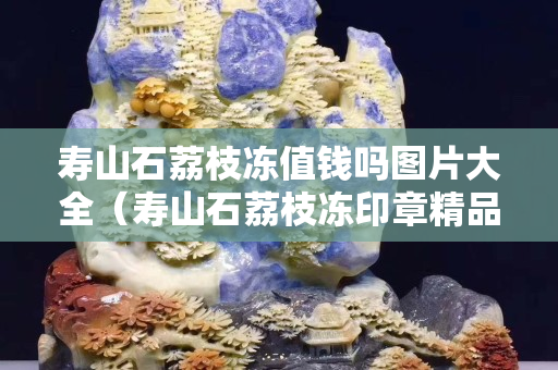 寿山石荔枝冻值钱吗图片大全（寿山石荔枝冻印章精品价格）