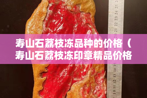 寿山石荔枝冻品种的价格（寿山石荔枝冻印章精品价格）