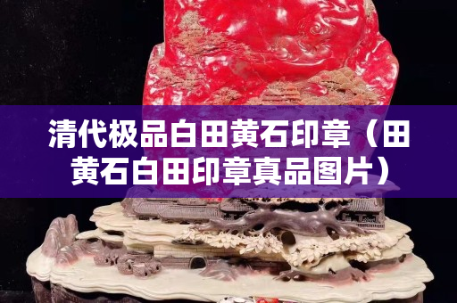 清代极品白田黄石印章（田黄石白田印章真品图片）