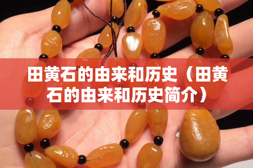 田黄石的由来和历史（田黄石的由来和历史简介）