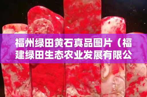 福州绿田黄石真品图片（福建绿田生态农业发展有限公司）