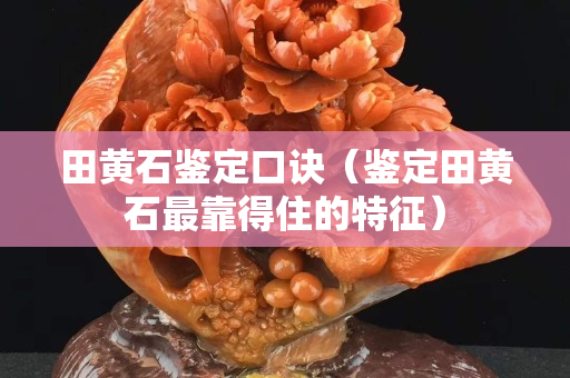 田黄石鉴定口诀（鉴定田黄石最靠得住的特征）