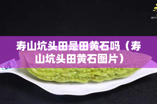 寿山坑头田是田黄石吗（寿山坑头田黄石图片）