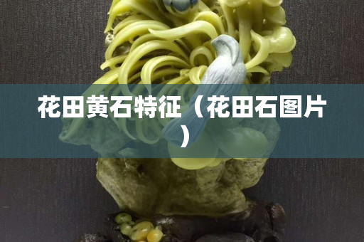 花田黄石特征（花田石图片）