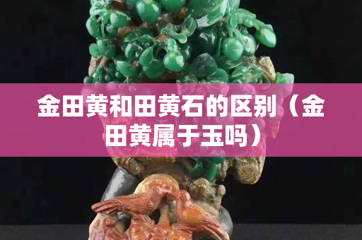 金田黄和田黄石的区别（金田黄属于玉吗）