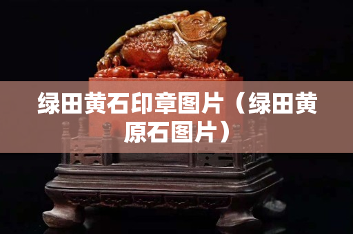 绿田黄石印章图片（绿田黄原石图片）