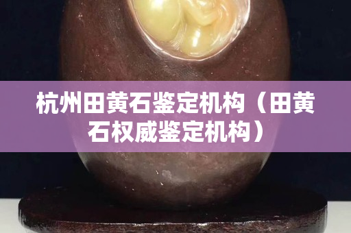 杭州田黄石鉴定机构（田黄石权威鉴定机构）