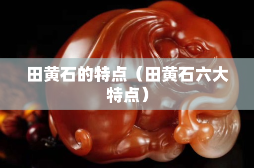 田黄石的特点（田黄石六大特点）