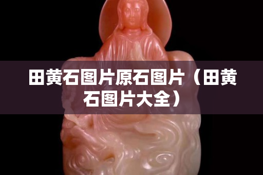 田黄石图片原石图片（田黄石图片大全）