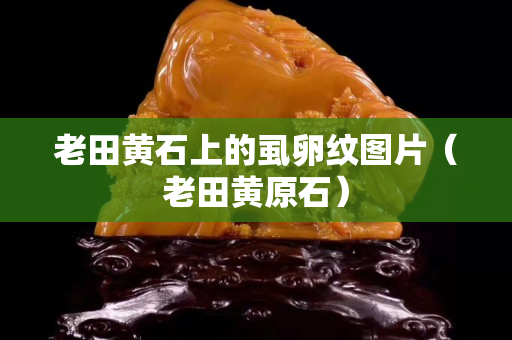 老田黄石上的虱卵纹图片（老田黄原石）
