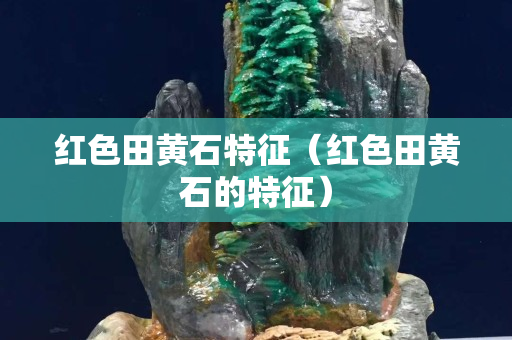红色田黄石特征（红色田黄石的特征）