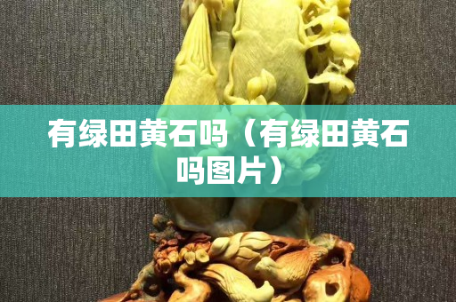 有绿田黄石吗（有绿田黄石吗图片）