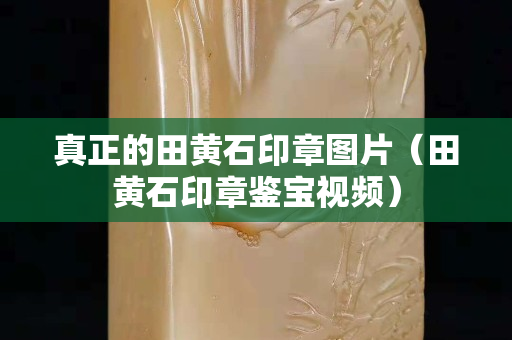 真正的田黄石印章图片（田黄石印章鉴宝视频）