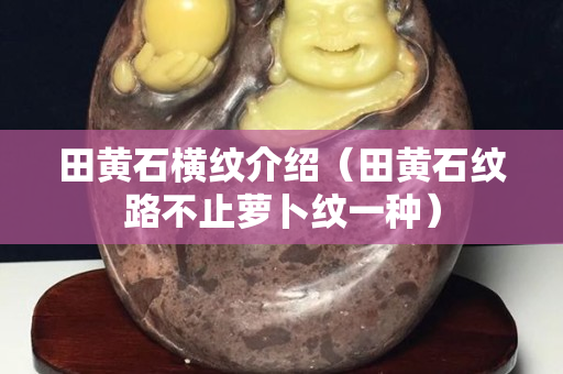 田黄石横纹介绍（田黄石纹路不止萝卜纹一种）