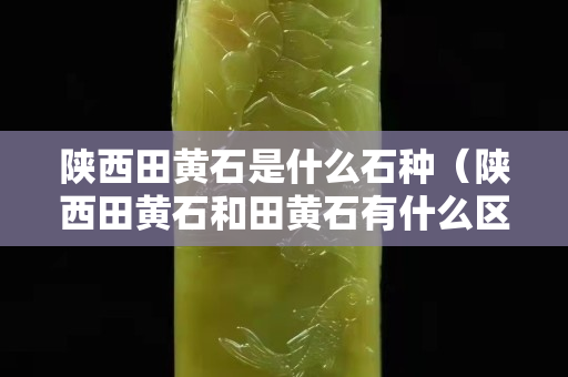 陕西田黄石是什么石种（陕西田黄石和田黄石有什么区别）