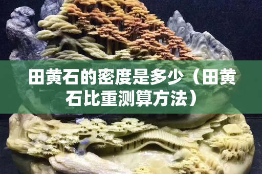 田黄石的密度是多少（田黄石比重测算方法）