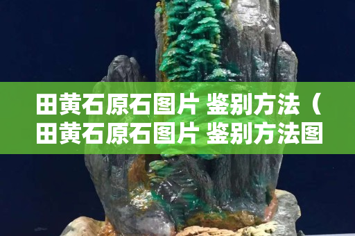 田黄石原石图片 鉴别方法（田黄石原石图片 鉴别方法图）