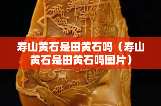 寿山黄石是田黄石吗（寿山黄石是田黄石吗图片）