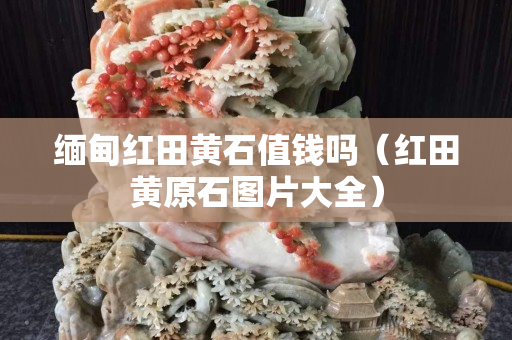 缅甸红田黄石值钱吗（红田黄原石图片大全）