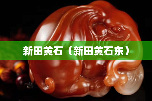 新田黄石（新田黄石东）