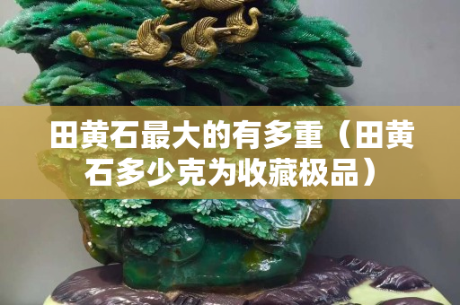 田黄石最大的有多重（田黄石多少克为收藏极品）