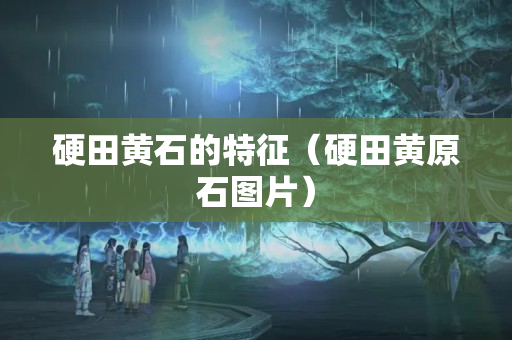 硬田黄石的特征（硬田黄原石图片）