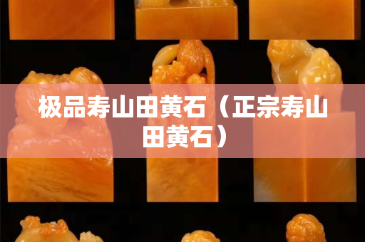 极品寿山田黄石（正宗寿山田黄石）