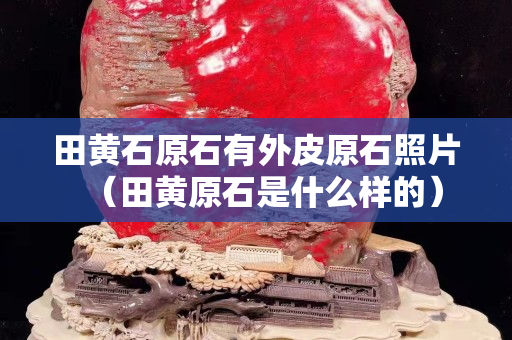 田黄石原石有外皮原石照片（田黄原石是什么样的）