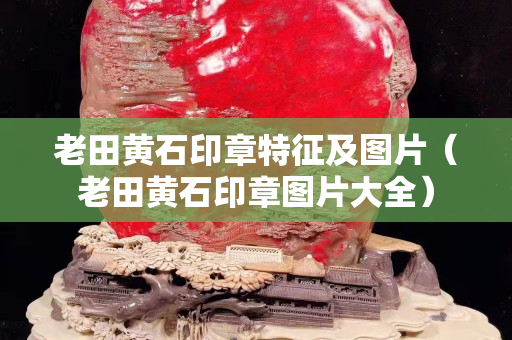 老田黄石印章特征及图片（老田黄石印章图片大全）