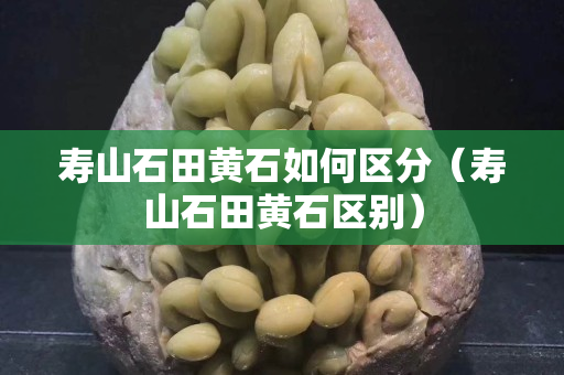 寿山石田黄石如何区分（寿山石田黄石区别）