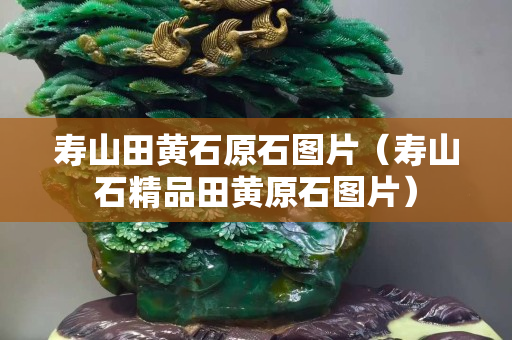 寿山田黄石原石图片（寿山石精品田黄原石图片）