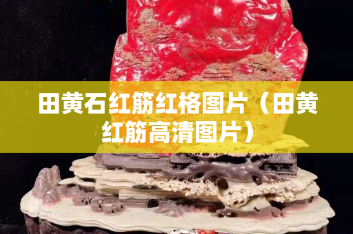 田黄石红筋红格图片（田黄红筋高清图片）