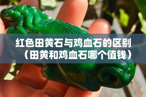 红色田黄石与鸡血石的区别（田黄和鸡血石哪个值钱）