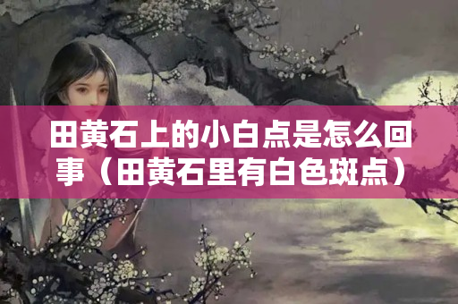 田黄石上的小白点是怎么回事（田黄石里有白色斑点）