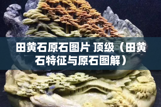 田黄石原石图片 顶级（田黄石特征与原石图解）