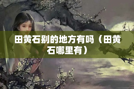 田黄石别的地方有吗（田黄石哪里有）