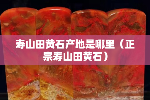 寿山田黄石产地是哪里（正宗寿山田黄石）