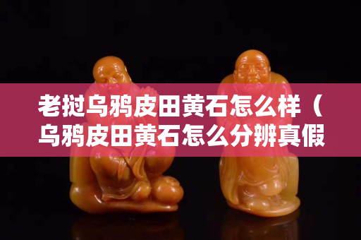 老挝乌鸦皮田黄石怎么样（乌鸦皮田黄石怎么分辨真假）