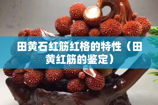 田黄石红筋红格的特性（田黄红筋的鉴定）