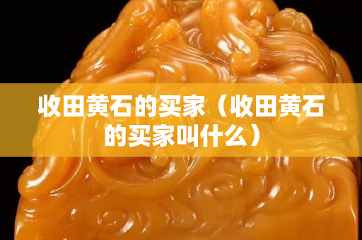 收田黄石的买家（收田黄石的买家叫什么）