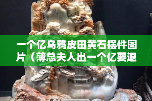 一个亿乌鸦皮田黄石摆件图片（薄总夫人出一个亿要退婚）