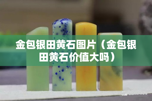 金包银田黄石图片（金包银田黄石价值大吗）