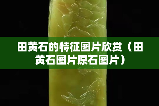 田黄石的特征图片欣赏（田黄石图片原石图片）
