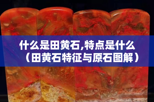 什么是田黄石,特点是什么（田黄石特征与原石图解）