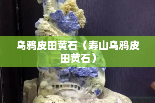 乌鸦皮田黄石（寿山乌鸦皮田黄石）
