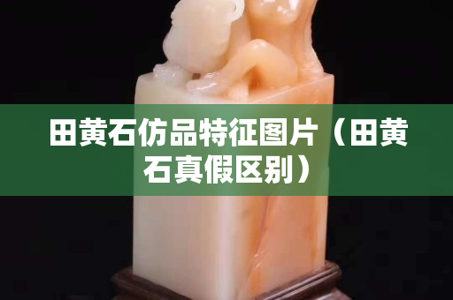 田黄石仿品特征图片（田黄石真假区别）
