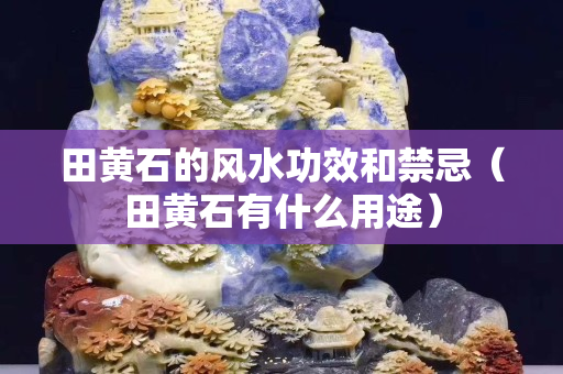 田黄石的风水功效和禁忌（田黄石有什么用途）