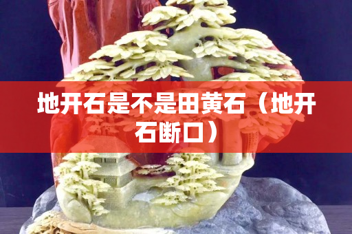 地开石是不是田黄石（地开石断口）
